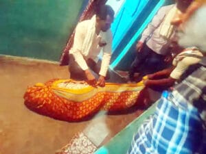 patni ka shav