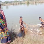 सखी सहेली समूह ने मछली पालन से बदली जिंदगी