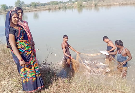 सखी सहेली समूह ने मछली पालन से बदली जिंदगी