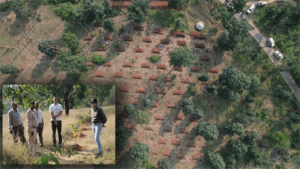 aabhiyaran1