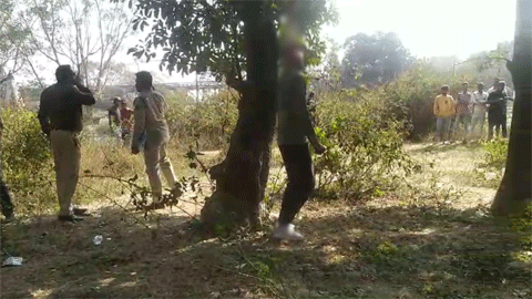 पेड़ से लटकता मिला युवक का शव, प्रेम-प्रसंग में आत्महत्या की आशंका