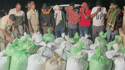 ओडिशा से रायपुर आ रहा था 7 क्विंटल गांजा… पुलिस ने 6 गांजा तस्करों को गिरफ्तार ओडिशा से रायपुर आ रहा था 7 क्विंटल गांजा… पुलिस ने 6 गांजा तस्करों को गिरफ्तार