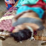 बिलासपुर में अफेयर के शक में देवर ने की भाभी की हत्या बिलासपुर में अफेयर के शक में देवर ने की भाभी की हत्या