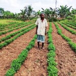 किसान नारद पटेल ने मूंगफली की फसल से लिया 4 गुना से अधिक मुनाफा