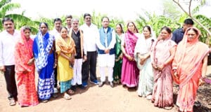 cm sai in khet