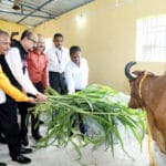 राज्यपाल श्री रमेन डेका ने गौशाला का किया लोकार्पण