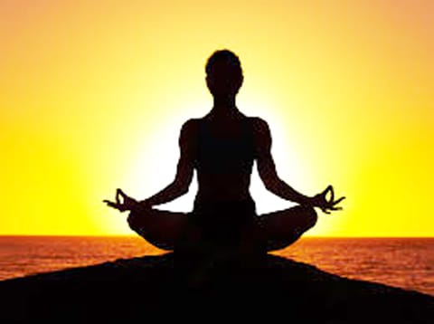 अन्तर्राष्ट्रीय योग दिवस पर 21 जून को प्रदेश में ’योग संगम-हरित योग’ थीम पर होगा विशेष कार्यक्रम